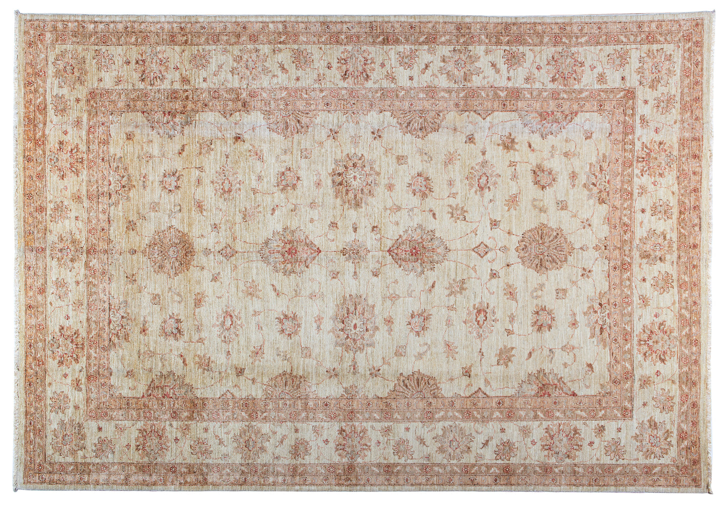 279501N- Ziglan Farahan