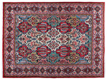 Load image into Gallery viewer, 4227 - Baktiari Vecchio
